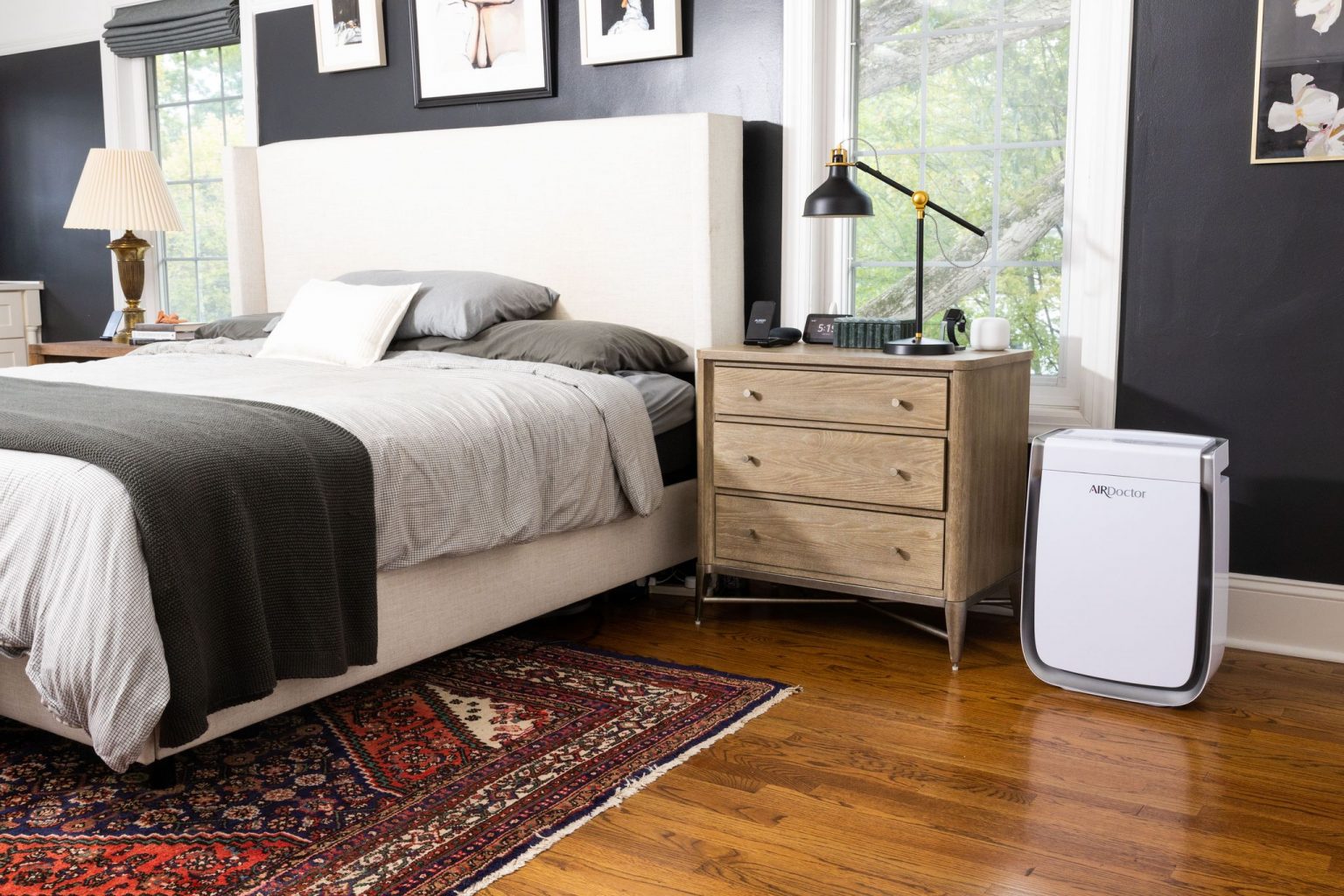 Health Benefits Of Air Purifiers The Holistic Vanity