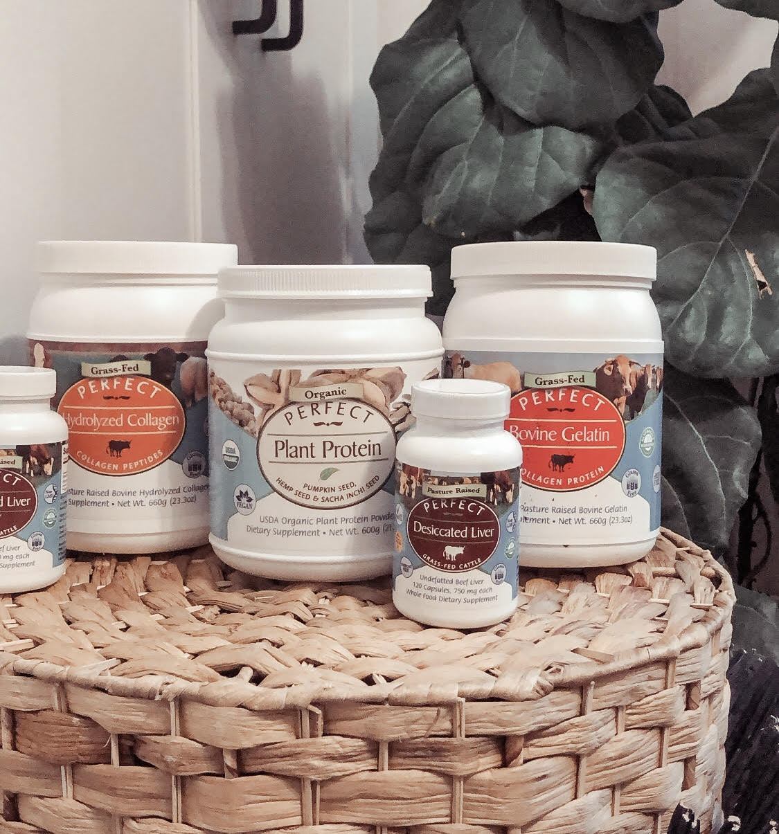 Colostrum vs Collagen: The Key Differences, Benefits & Which Is Right for You